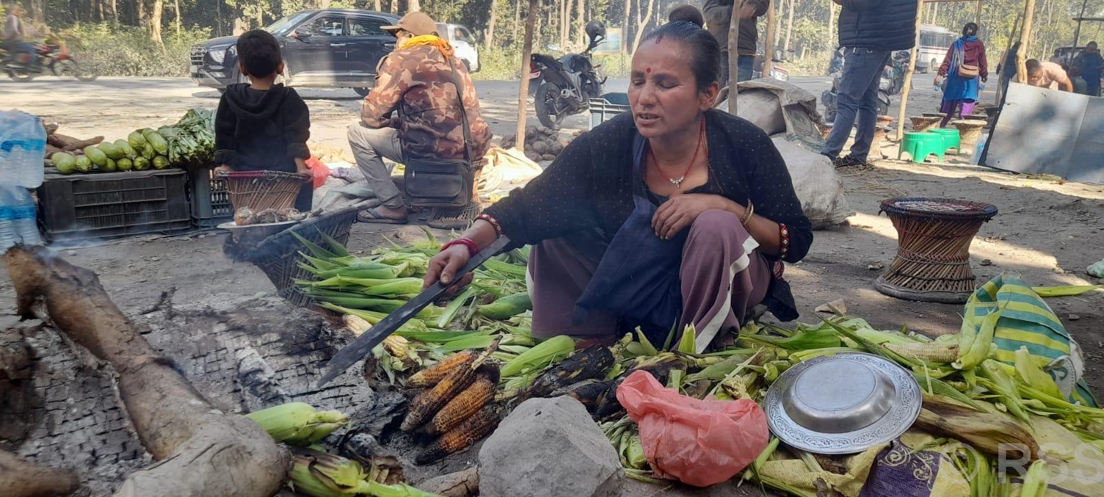 राजमार्गको छेउमा मकै पोलेरै जिविका